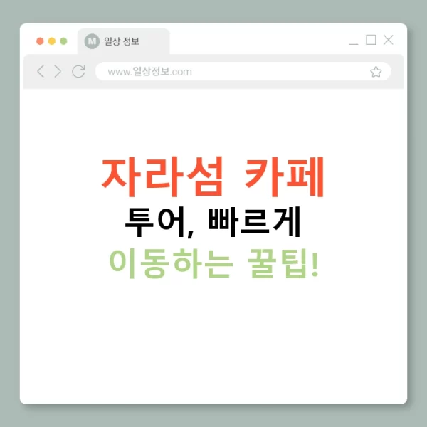 자라섬 카페 투어, 빠르게 이동하는 꿀팁!