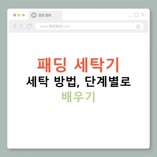 패딩 세탁기 세탁 방법, 단계별로 배우기