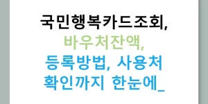 국민행복카드조회, 바우처잔액, 등록방법, 사용처 확인까지 한눈에!