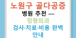 노원구 골다공증 병원 추천 — 정형외과 검사·치료·비용 완벽 안내