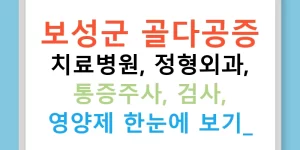 보성군 골다공증 치료병원, 정형외과, 통증주사, 검사, 영양제 한눈에 보기!