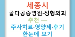 세종시 골다공증병원·정형외과 추천 — 주사치료·영양제·후기 한눈에 보기