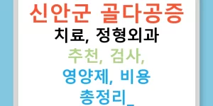 신안군 골다공증 치료, 정형외과 추천, 검사, 영양제, 비용 총정리!