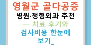 영월군 골다공증 병원·정형외과 추천 — 치료 후기와 검사비용 한눈에 보기!