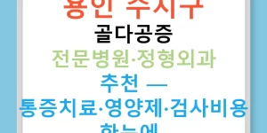 용인 수지구 골다공증 전문병원·정형외과 추천 — 통증치료·영양제·검사비용 한눈에!