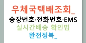 우체국택배조회: 송장번호·전화번호·EMS 실시간배송 확인법 완전정복!