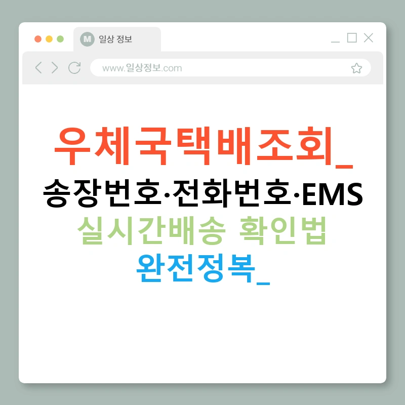우체국택배조회: 송장번호·전화번호·EMS 실시간배송 확인법 완전정복!