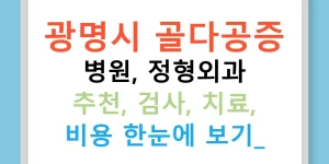 광명시 골다공증 병원, 정형외과 추천, 검사, 치료, 비용 한눈에 보기!