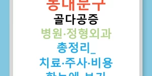 동대문구 골다공증 병원·정형외과 총정리: 치료·주사·비용 한눈에 보기