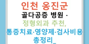 인천 옹진군 골다공증 병원 · 정형외과 추천, 통증치료·영양제·검사비용 총정리!