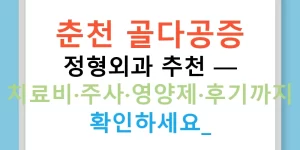 춘천 골다공증 정형외과 추천 — 치료비·주사·영양제·후기까지 확인하세요!